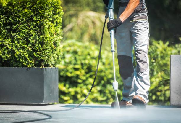 Best Residential Exterior Washing  in Kyle, TX